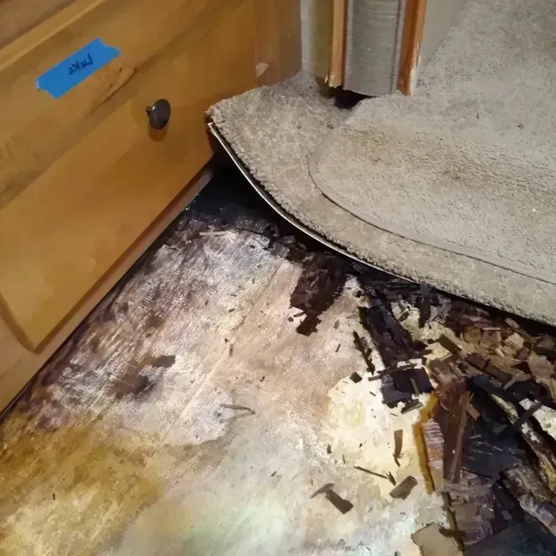 Wood Floor Water Damage in Detroit Lakes, MN